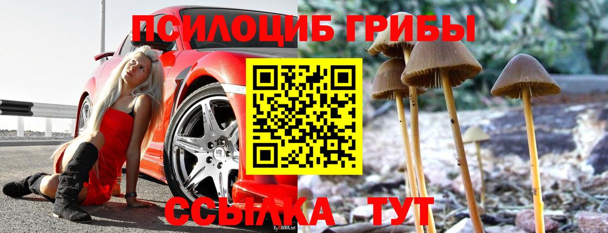 Балаково  Галлюциногенные грибы мицелий  Вход с VPN 