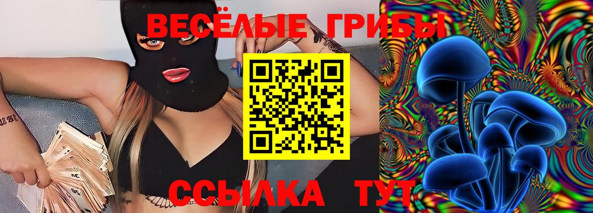 Галлюциногенные грибы прущие грибы Балаково